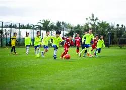 特雷曼恩携,手锐步,再创,Pg电子登录入口,Pg电子平台,Pg电子注册网址,Pg电子app,Pg电子官网,Pg电子网站,Pg电子网页版